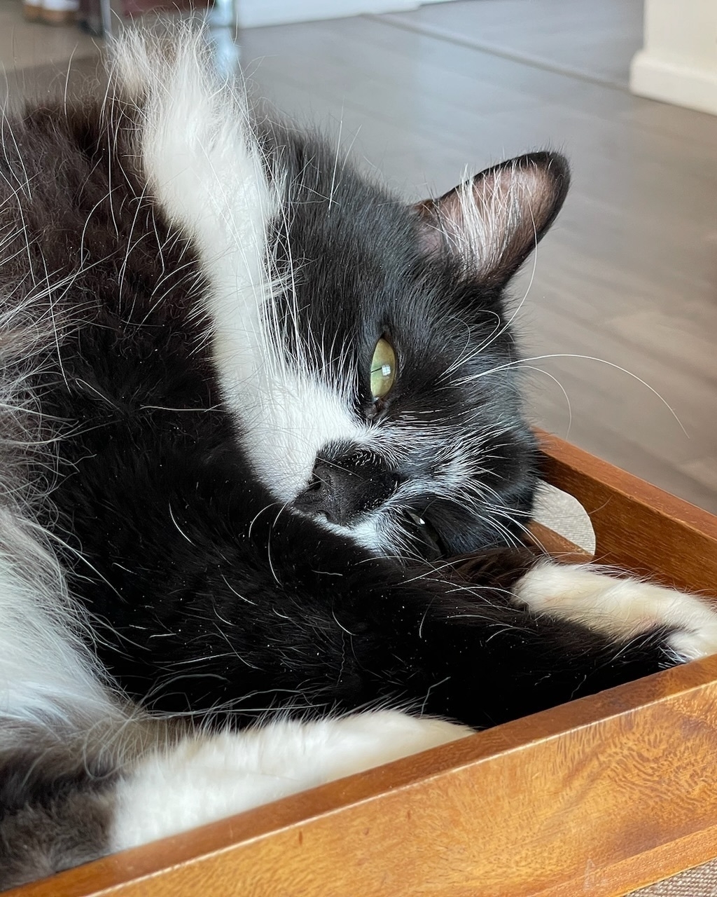 A black and white tuxedo cat laying comfortably in a wooden serving tray, looking off into the distance through half-open eyes.